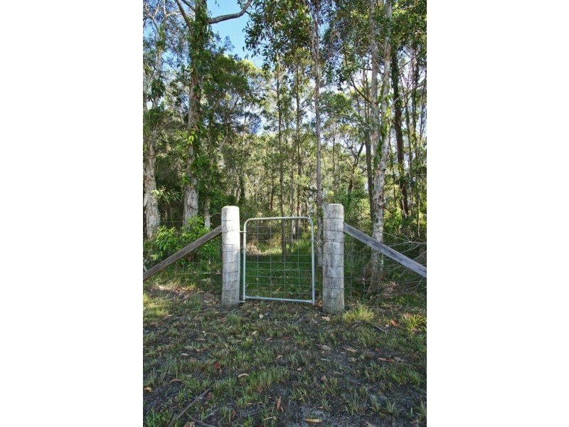 45 Kumbaingeri Close, Moonee Beach NSW 2450