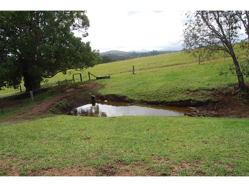 62 O’Dells Road, Warrell Creek NSW 2447