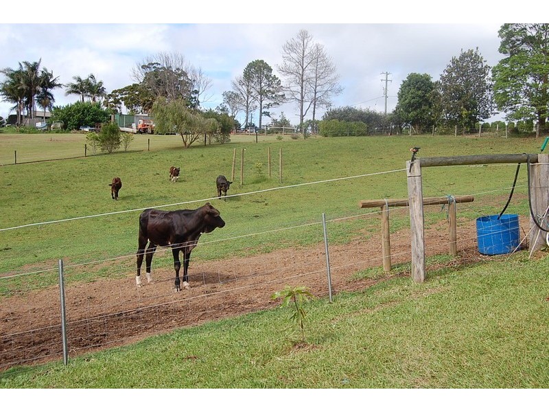 62 O’Dells Road, Warrell Creek NSW 2447