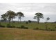 Lot 131 Lowanna Road, Lowanna NSW 2450