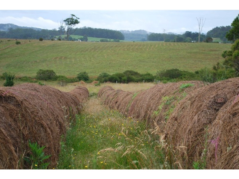 Lot 131 Lowanna Road, Lowanna NSW 2450