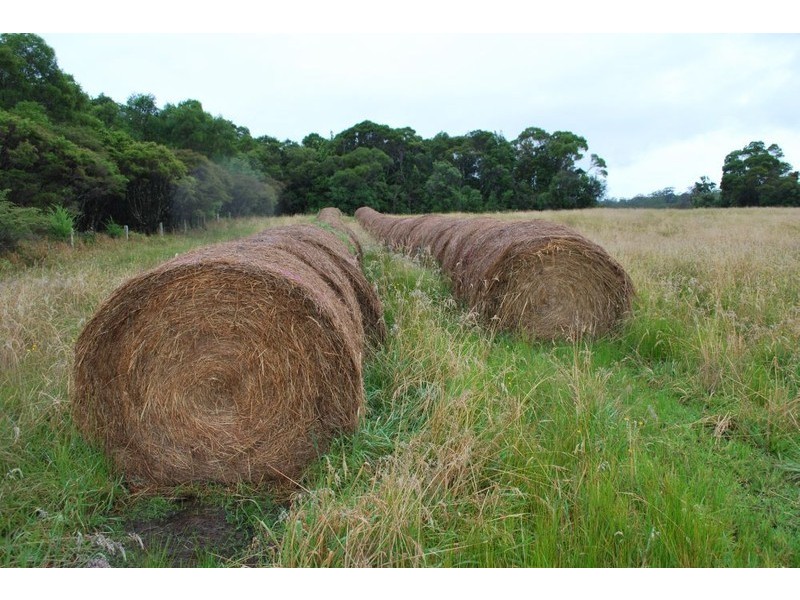 Lot 131 Lowanna Road, Lowanna NSW 2450