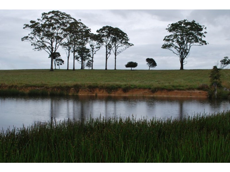 Lot 131 Lowanna Road, Lowanna NSW 2450