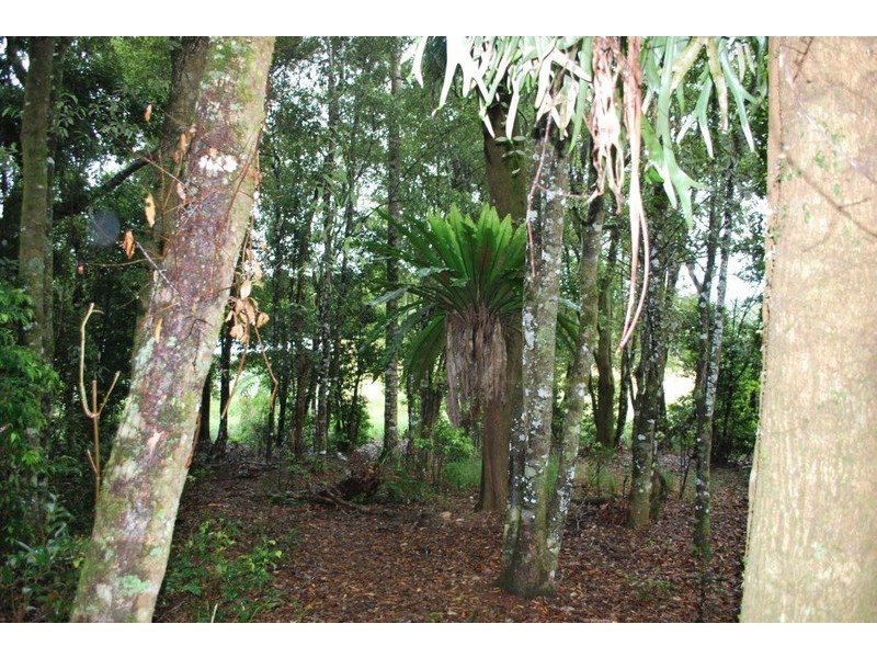 Lot 131 Lowanna Road, Lowanna NSW 2450