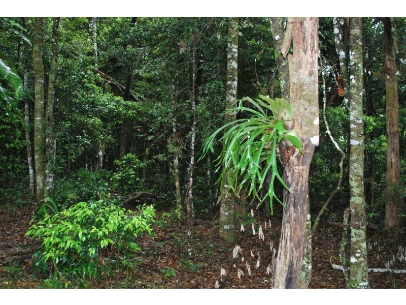 Lot 131 Lowanna Road, Lowanna NSW 2450