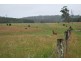 Lot 131 Lowanna Road, Lowanna NSW 2450