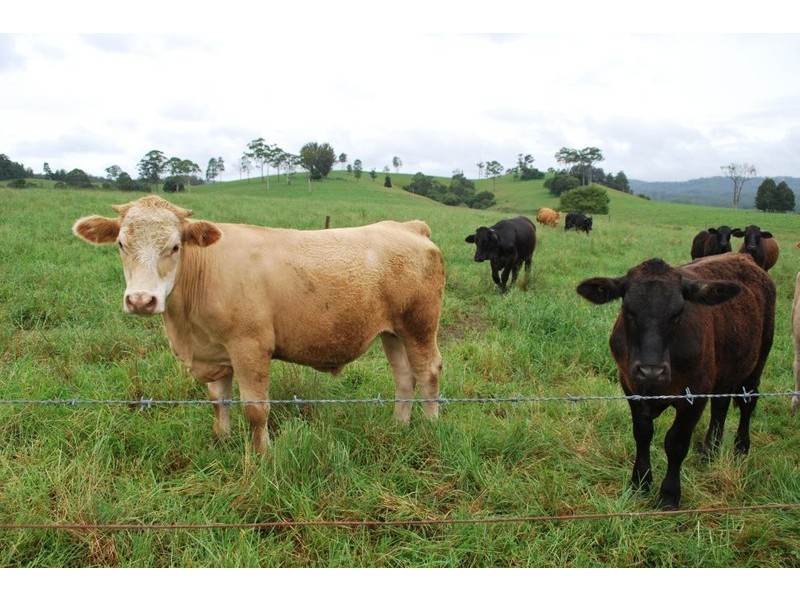 327 Moleton Road, Lowanna NSW 2450