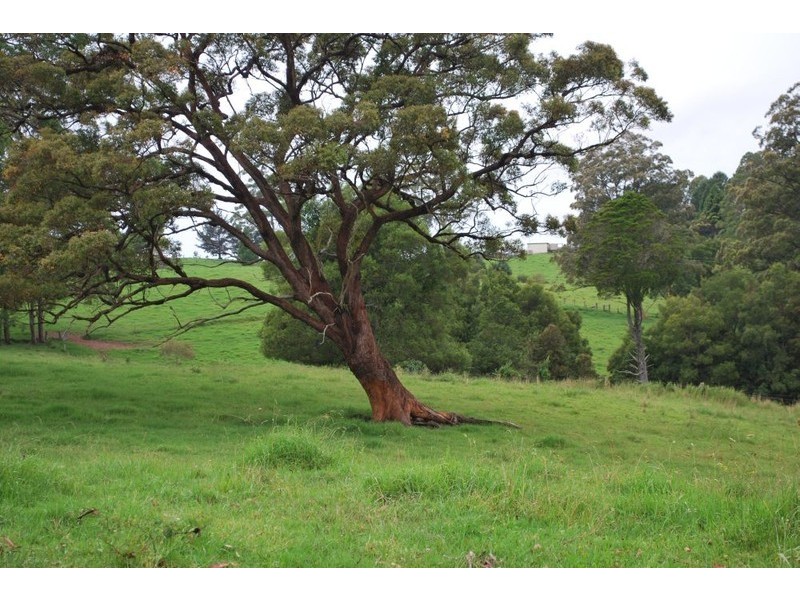 327 Moleton Road, Lowanna NSW 2450