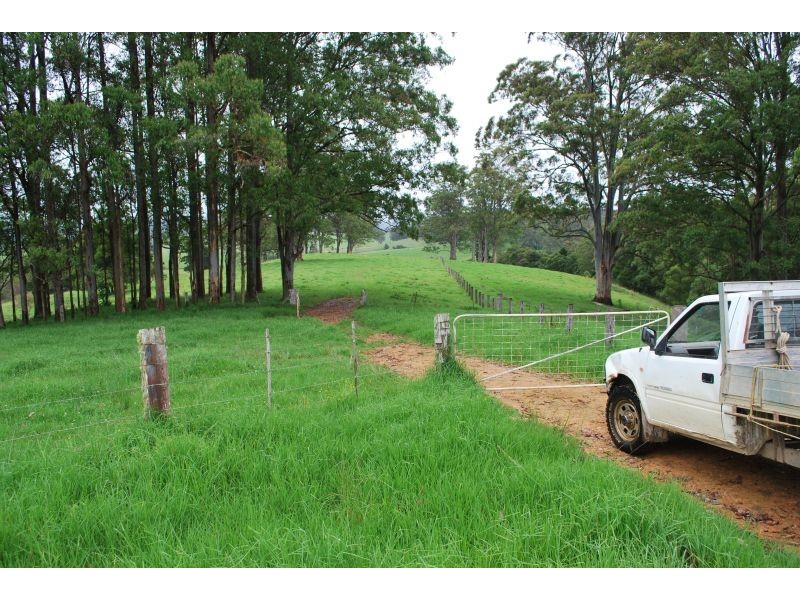 327 Moleton Road, Lowanna NSW 2450