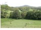 92 Hains Lane Brierfield, Bellingen NSW 2454