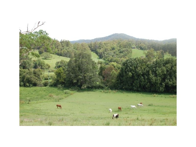 92 Hains Lane Brierfield, Bellingen NSW 2454
