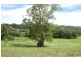 92 Hains Lane Brierfield, Bellingen NSW 2454