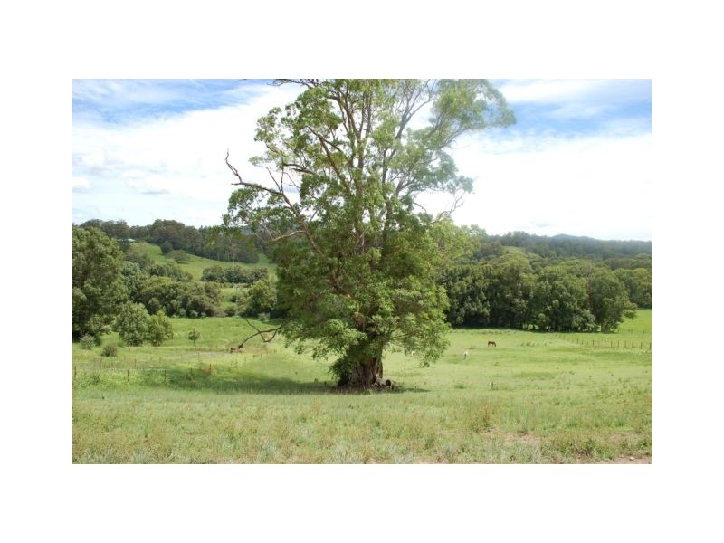 92 Hains Lane Brierfield, Bellingen NSW 2454