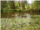 4 Greens Close, Glenreagh NSW 2450