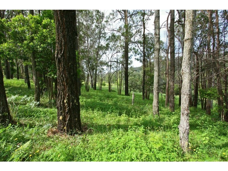 4 Greens Close, Glenreagh NSW 2450