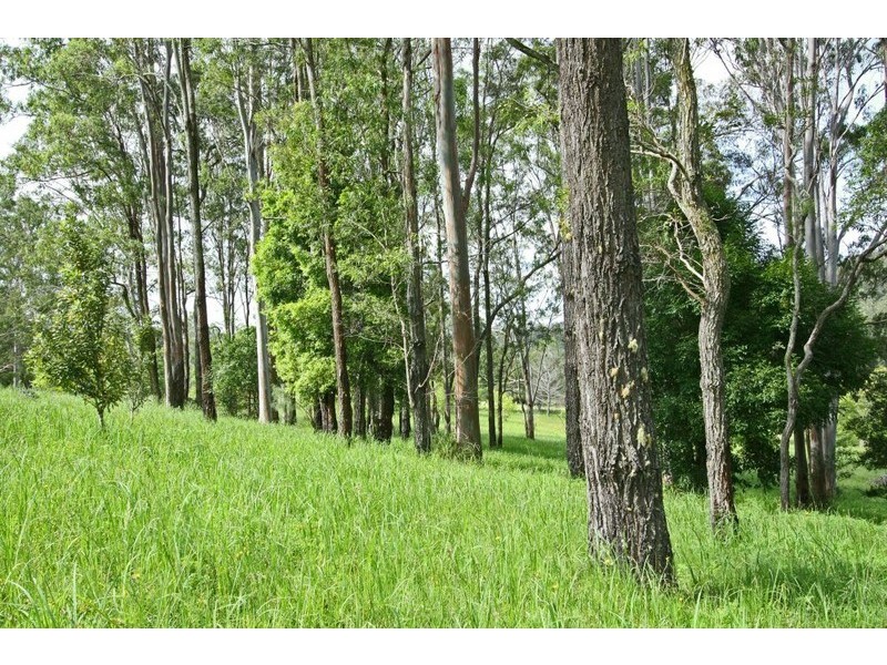 4 Greens Close, Glenreagh NSW 2450