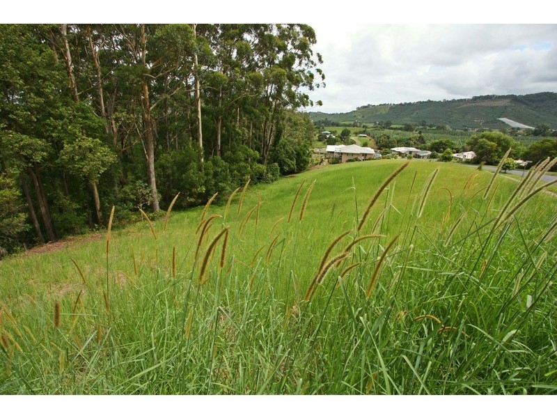 86 Roselands Drive, Coffs Harbour NSW 2450