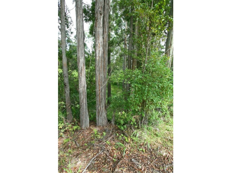 86 Roselands Drive, Coffs Harbour NSW 2450