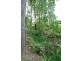 86 Roselands Drive, Coffs Harbour NSW 2450
