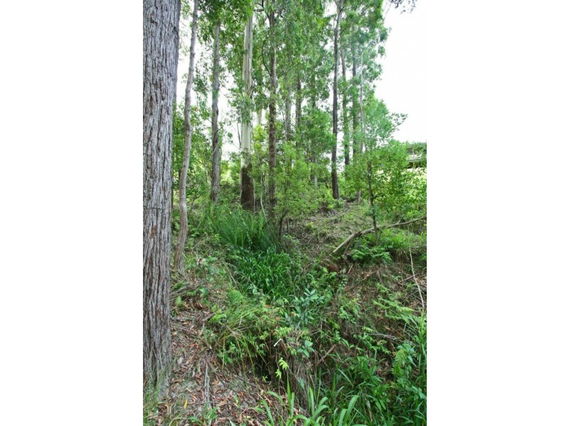 86 Roselands Drive, Coffs Harbour NSW 2450