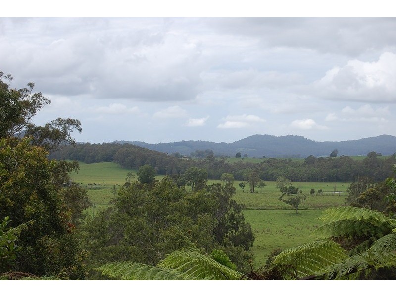 79 Talarm Road, Talarm NSW 2447