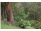 79 Talarm Road, Talarm NSW 2447