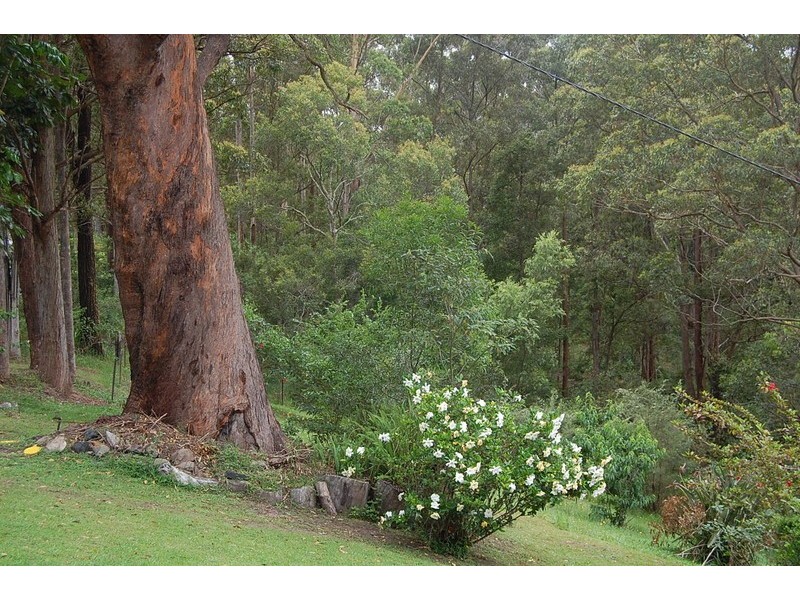 79 Talarm Road, Talarm NSW 2447