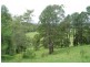 79 Talarm Road, Talarm NSW 2447