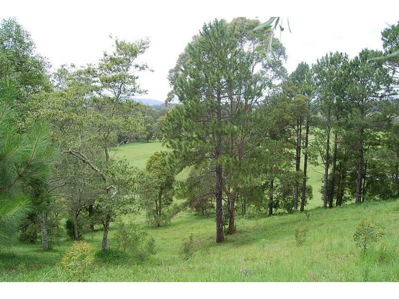 79 Talarm Road, Talarm NSW 2447