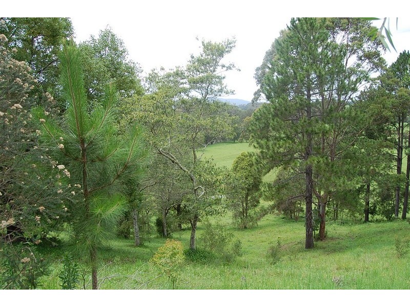 79 Talarm Road, Talarm NSW 2447