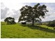 121 Whites Road, Yarranbella NSW 2447