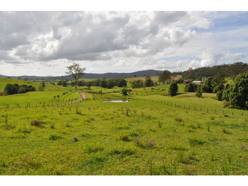 121 Whites Road, Yarranbella NSW 2447