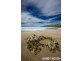 Seacrest Graham Drive, Sandy Beach NSW 2456