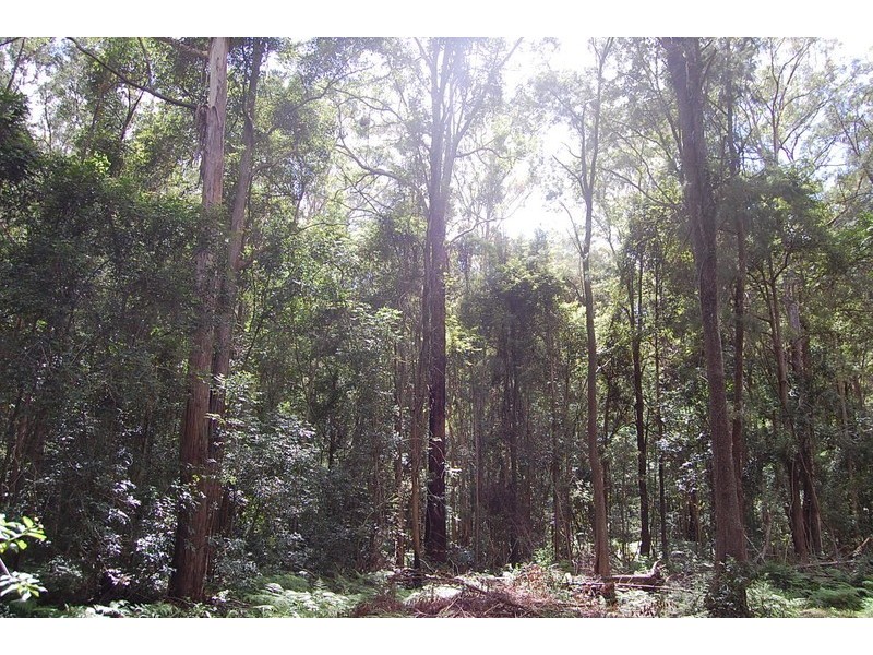 235b Stuarts Point Rd, Barraganyatti NSW 2441