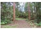 235b Stuarts Point Rd, Barraganyatti NSW 2441