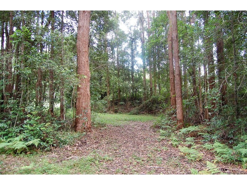235b Stuarts Point Rd, Barraganyatti NSW 2441