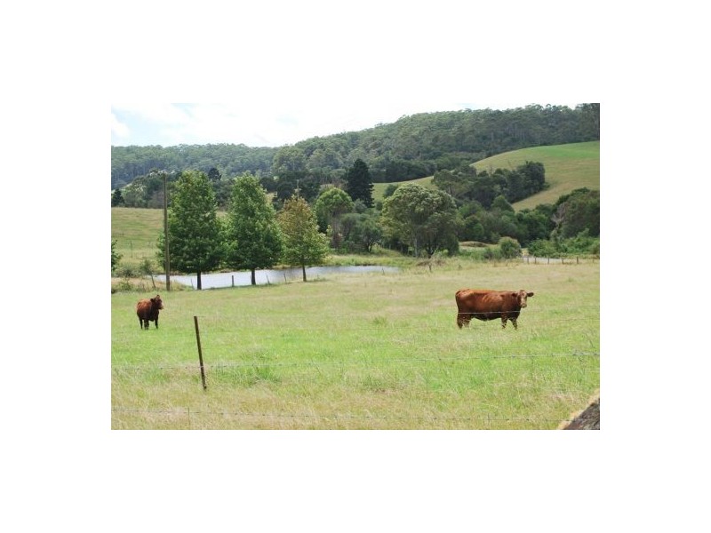 2040 Eastern Dorrigo Road, Ulong NSW 2450