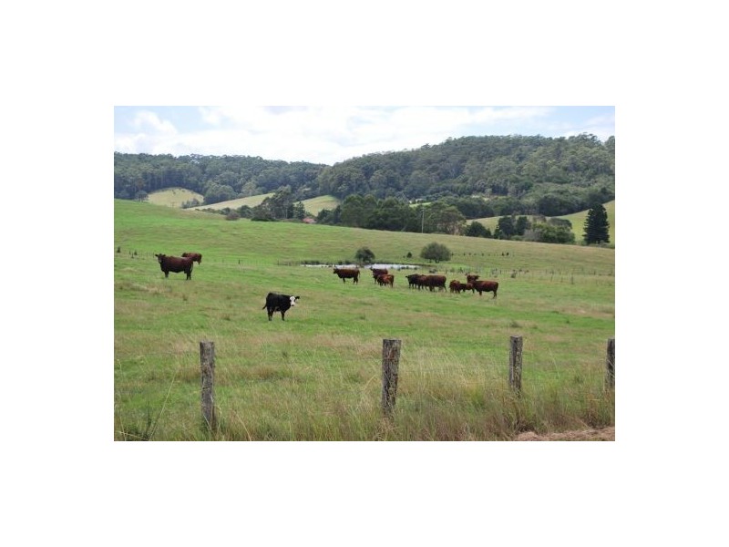 2040 Eastern Dorrigo Road, Ulong NSW 2450