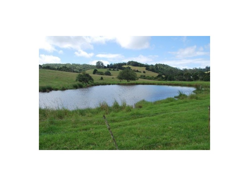 2040 Eastern Dorrigo Road, Ulong NSW 2450