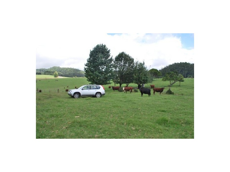 2040 Eastern Dorrigo Road, Ulong NSW 2450