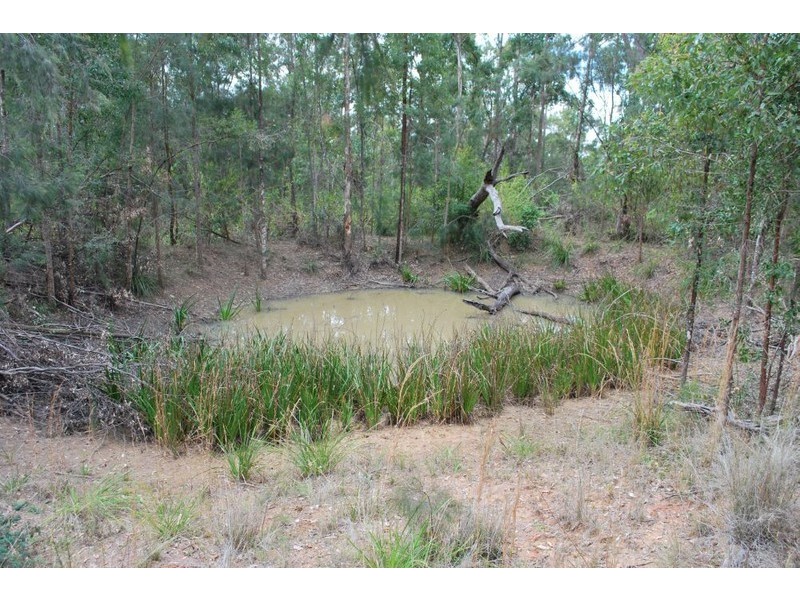 32 Tallowood Place, Glenreagh NSW 2450