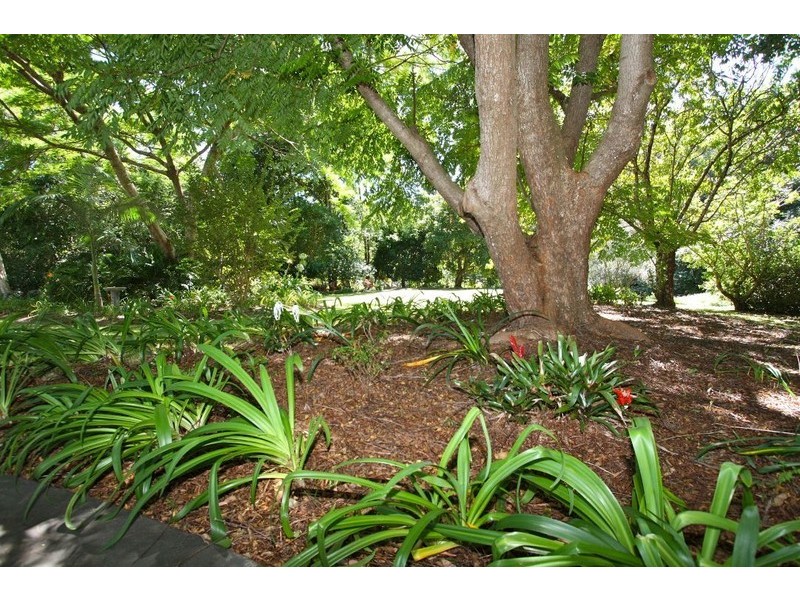 50 Middle Boambee Road, Coffs Harbour NSW 2450