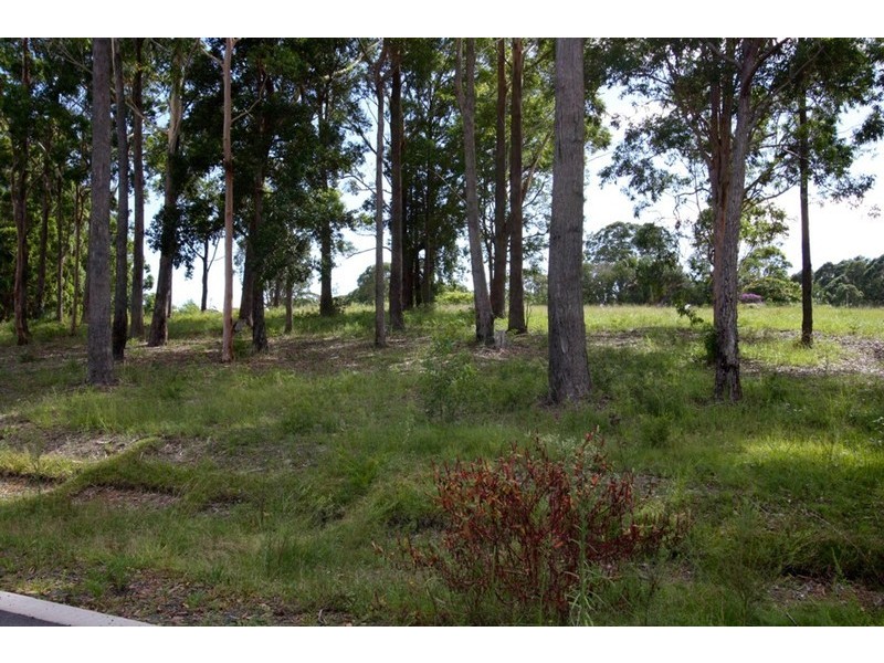 2 Bee Close, Moonee Beach NSW 2450