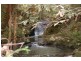 413 Johnsens Road, Fernbrook NSW 2453