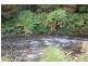 413 Johnsens Road, Fernbrook NSW 2453