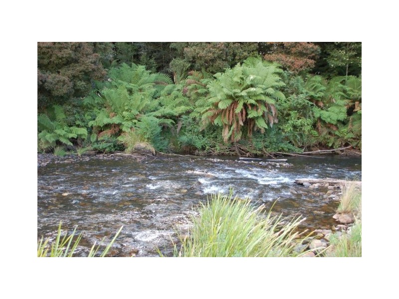 413 Johnsens Road, Fernbrook NSW 2453