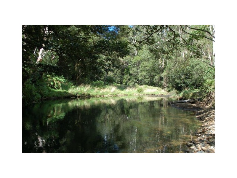 413 Johnsens Road, Fernbrook NSW 2453