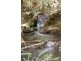 413 Johnsens Road, Fernbrook NSW 2453