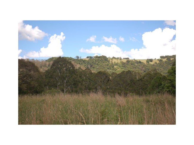 413 Johnsens Road, Fernbrook NSW 2453