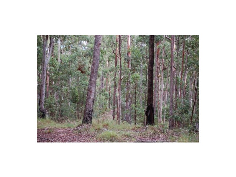 Lot 121 Searles Road, Tamban NSW 2441